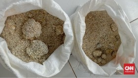 Buwas soal Beras Bansos Rusak: Kami Ganti