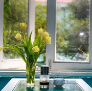 5 Tips Fengshui Jendela di Rumah, Pengaruhi Kesehatan Keluarga!