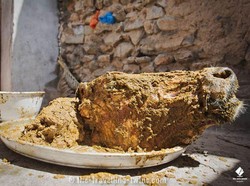 7 Makanan Ekstrem yang Bikin Bergidik, Kari Buaya hingga Kepala Kerbau!