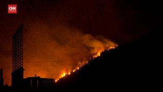 VIDEO: Kebakaran Hutan Masuki Area Pembangkit Listrik Turki