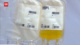 VIDEO: PMI Ungkap Alasan Minimnya Stok Plasma Konvalesen