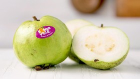 Kandungan dan 7 Manfaat dari Mengkonsumsi Jambu Kristal