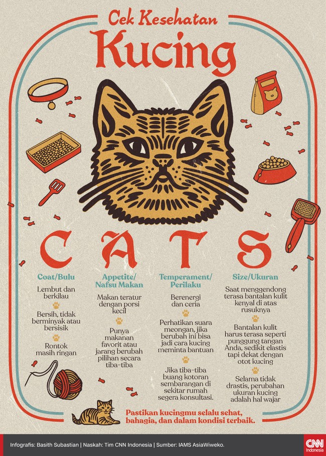 Pastikan kucingmu selalu sehat, bahagia, dan dalam kondisi terbaik. Berikut cara cek kesehatan kucing.