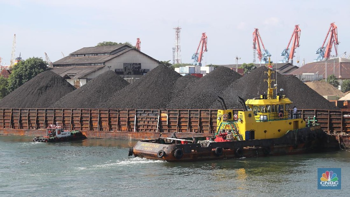 China Batalkan Kontrak Pembelian Batu Bara dari RI? Ini Kata ESDM