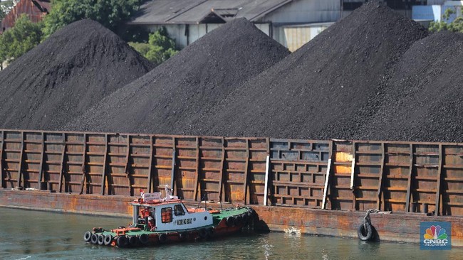 Harga Batu Bara Ambruk 3,51% ke US$134,8 — Dampak Meredanya Ketegangan Timur Tengah dan Korelasi Minyak