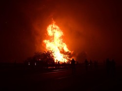 Kebakaran Hutan di Yunani Terus Membara, Ribuan Pemadam Dikerahkan