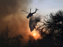 Kebakaran Hutan di Yunani Terus Berkobar, Ribuan Orang Dievakuasi