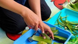 6 Cara Atasi Bau Ketiak dengan Bahan Alami