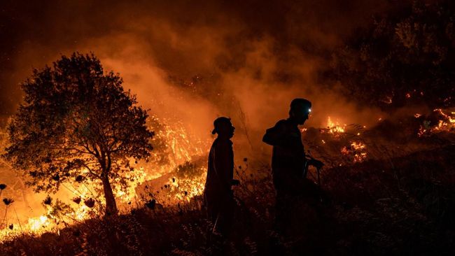 26 Thousand Evacuated Due to Forest Fire in Tenerife, Spain