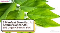 5 Manfaat Daun Katuk Selain Pelancar ASI, Bisa Cegah Obesitas, Bun!