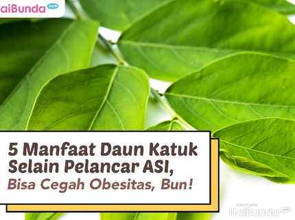 5 Manfaat Daun Katuk Selain Pelancar ASI, Bisa Cegah Obesitas, Bun!