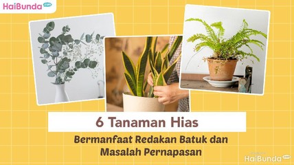 Detik Network