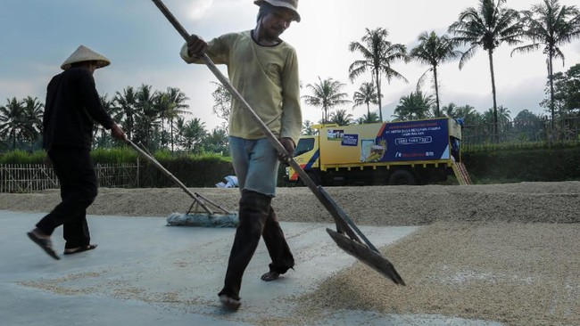 Penyaluran kredit BRI pada sektor pertanian mencapai Rp 117,54 triliun hingga Juni 2021.