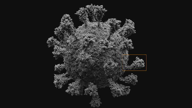 Virus corona penyebab Covid-19 subvarian Pirola kini tengah dipantau oleh WHO. Berikut beberapa fakta Covid-19 subvarian Pirola yang diketahui sejauh ini.