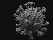 5 Fakta Subvarian Pirola, Virus Covid-19 yang Kini Dipantau WHO