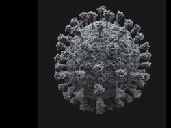 Tampilan 3D Virus Corona, Mirip Rambutan dan Aktif Bergerak