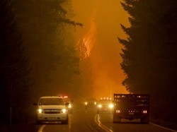 Saksi Mata Ganasnya Kebakaran Hutan di California