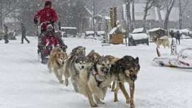 FOTO: Pelesiran di Lembah Salju bersama Husky