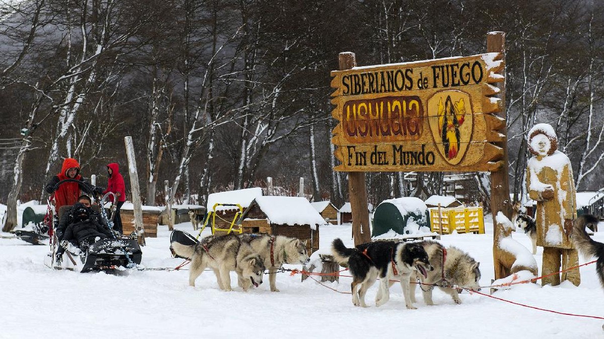FOTO: Pelesiran di Lembah Salju bersama Husky