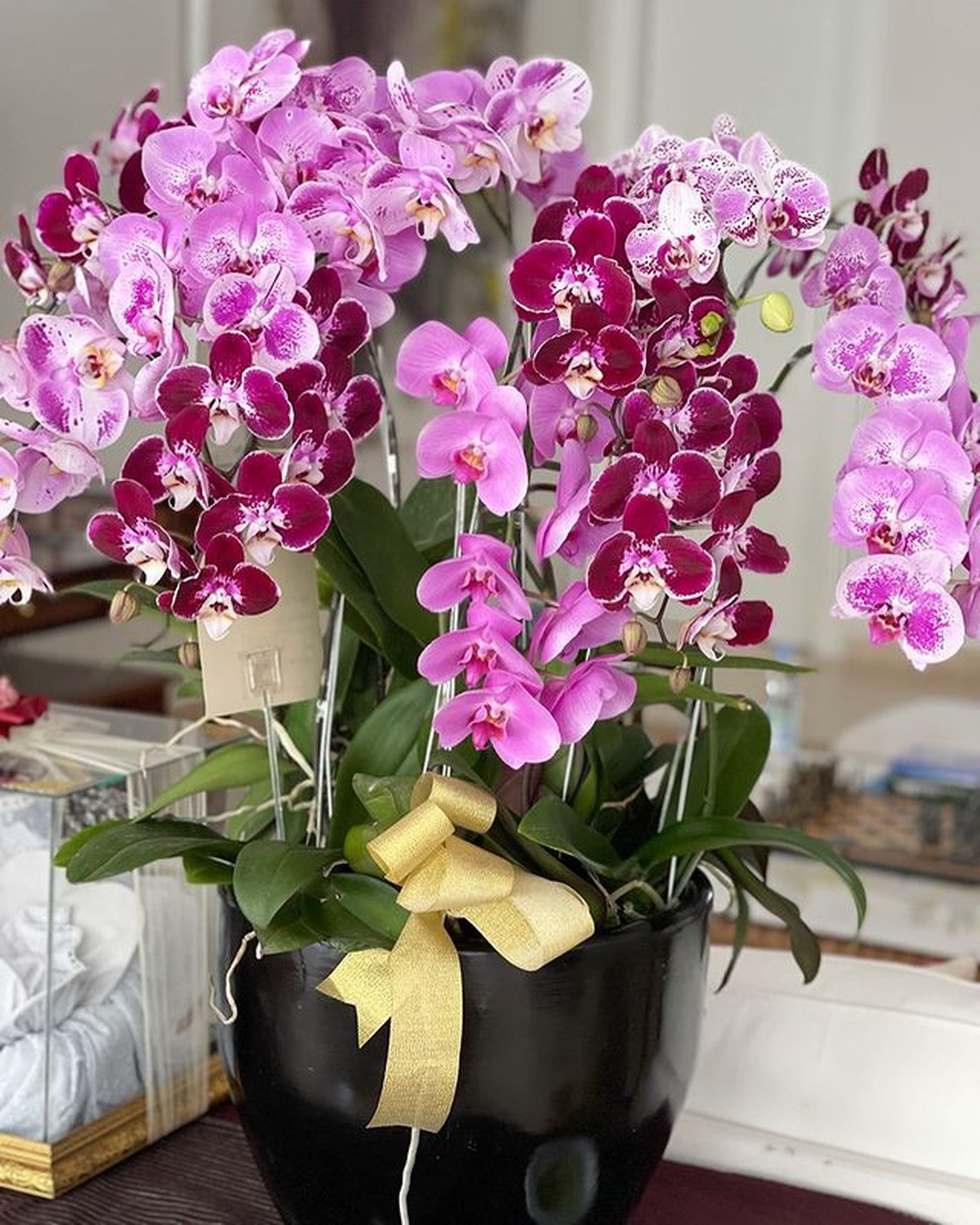 Olivia Zalianty membawa kabar mengejutkan sekaligus membahagiakan karena telah resmi menikah&period; Yuk intip potret terbarunya&excl;