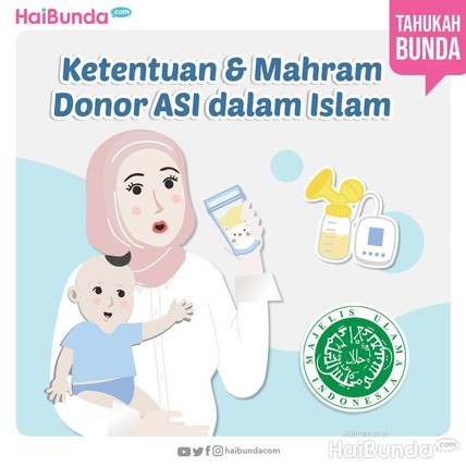 Detik Network