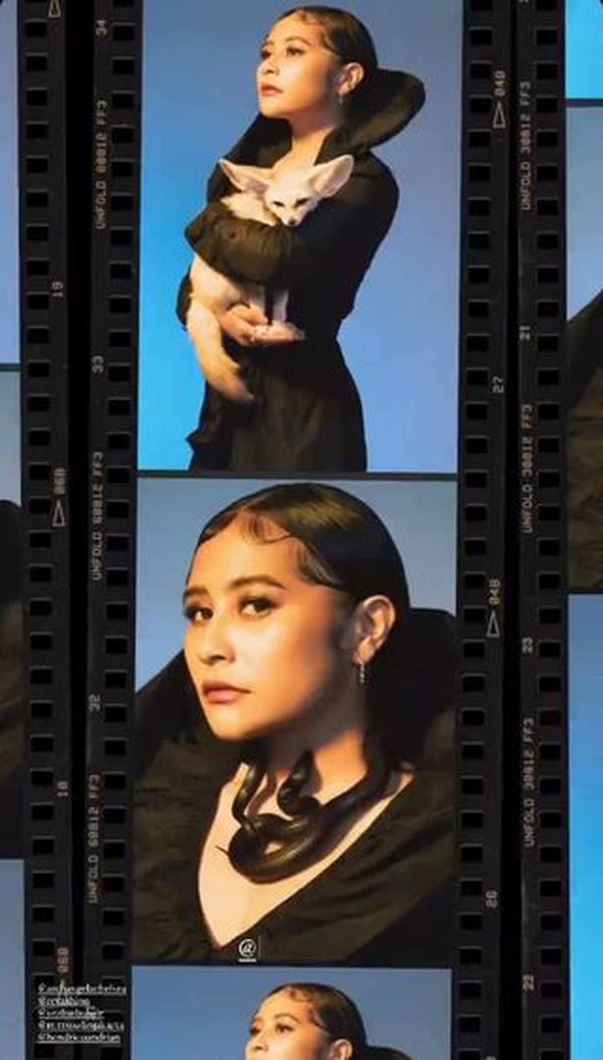 Baru-baru ini Prilly Latuconsina melakukan pemotretan dengan memakai properti seekor ular&period; Yuk kita intip&excl;