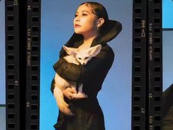 Foto Terbaru Prilly Latuconsina Dililit Ular Hitam Jadi Sorotan