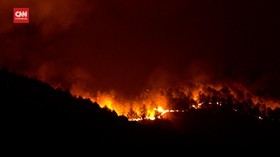 VIDEO: Hutan Pinus Italia Terbakar, Api Dekati Permukiman