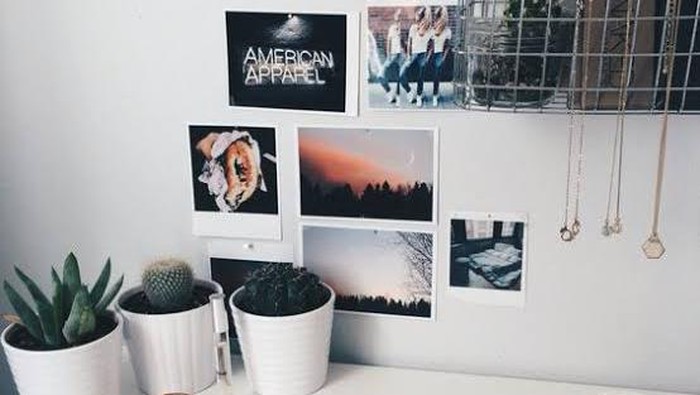 8 Jenis Tanaman Hias Cantik untuk Ruangan Sempit