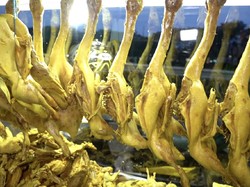 Eksis di YouTube! Ini 5 Bebek Goreng Enak yang Selalu Diantre