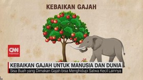VIDEO: Gajah, Pahlawan Tanpa Tanda Jasa
