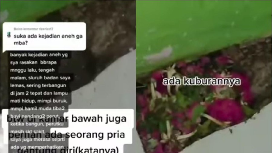 Viral TikTok Viral TikTok