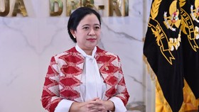 Puan: Banyak yang Pikir Jalan Saya Mulus, tapi Tak Ada yang Instan
