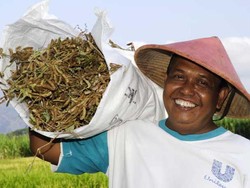 Unilever Indonesia Sinergikan Purpose Perusahaan, Brand, & Konsumen