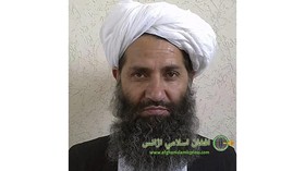 Fatwa Al-Azhar Halalkan Transplant Babi hingga Pentolan Taliban Muncul