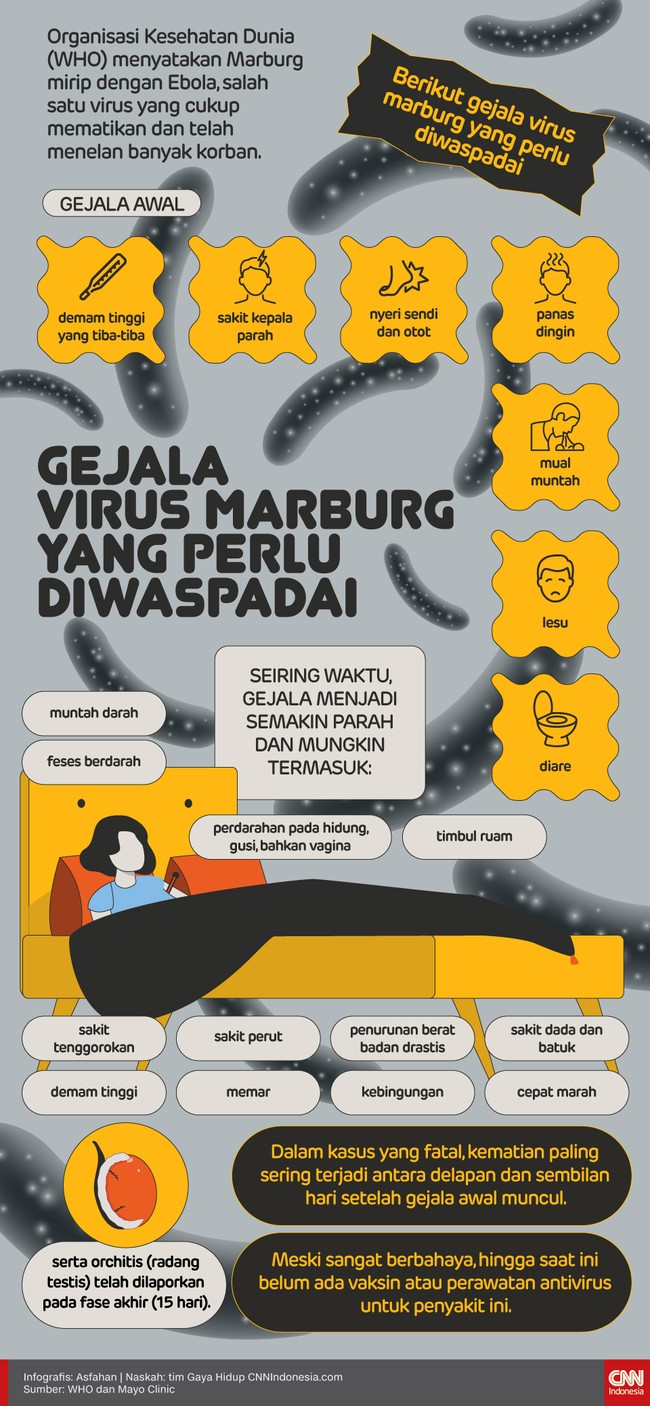 WHO menyatakan Marburg adalah salah satu virus yang cukup mematikan. Berikut gejala virus marburg yang perlu diwaspadai.
