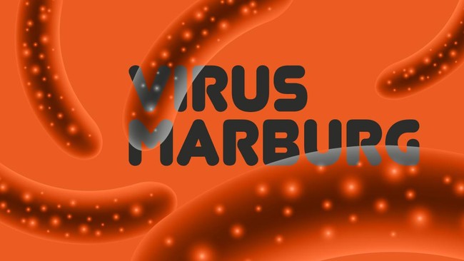 Organisasi Kesehatan Dunia (WHO) mengatakan wabah virus Marburg yang sempat mengkhawatirkan beberapa waktu lalu telah berakhir di Guinea.