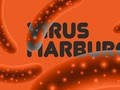 WHO Umumkan Wabah Virus Marburg Berakhir di Guinea