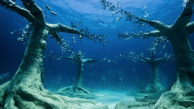 Siprus resmi membuka hutan dan museum bawah laut pertamanya pada tahun ini. Selain wisatawan, diharapkan ikan-ikan juga ramai berdatangan.