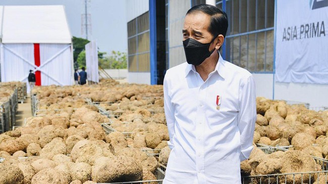 Sempat berang dengan impor beras dan mewacanakan swasembada di 2014, Presiden Jokowi kini mengakui 
