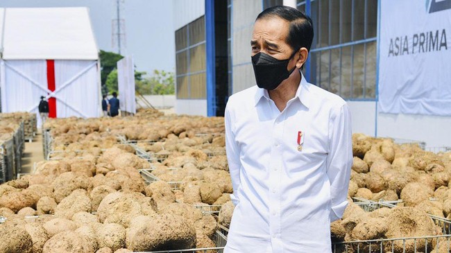Ahli Sebut Oposisi Serang Jokowi dengan Bot di Pilpres 2014 Analis media sosial, Ismail Fahmi, menyatakan Jokowi diserang oleh kelompok penentang menggunakan bot (akun palsu) di medsos pada Pilpres 2014.