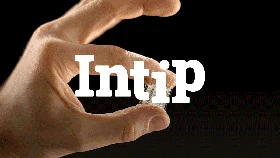 INTIP: 7 Produk Bernilai Jual Tinggi dari Tanaman Porang