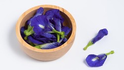 Pakar Ungkap 12 Manfaat Bunga Telang untuk Kesehatan