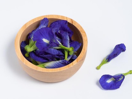 6 Manfaat Tanaman Bunga Telang untuk Kesehatan, Bisa Redakan Stres