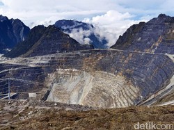 Warga Papua Protes soal Smelter, Ini 3 Pernyataan Bos Freeport