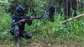 Kronologi Perburuan Ali Kalora, Sempat 2 Kali Lolos Kepungan