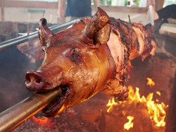 Peternak Frustasi Harga Babi di Bali Anjlok 3 Bulan