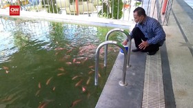 VIDEO: Warga Banyuwangi Ubah Kolam Renang Jadi Kolam Ikan