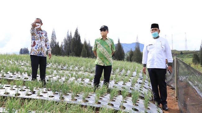 Kemnaker melalui BLK Padang berkomitmen mengembangkan kejuruan pariwisata dengan jurusan barista di Alahan Panjang, Lembah Gumanti, Solok, Sumatera Barat.