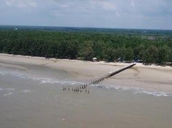 Melihat Pesona Pulau Rupat di Riau Lewat Rumah Digital Indonesia